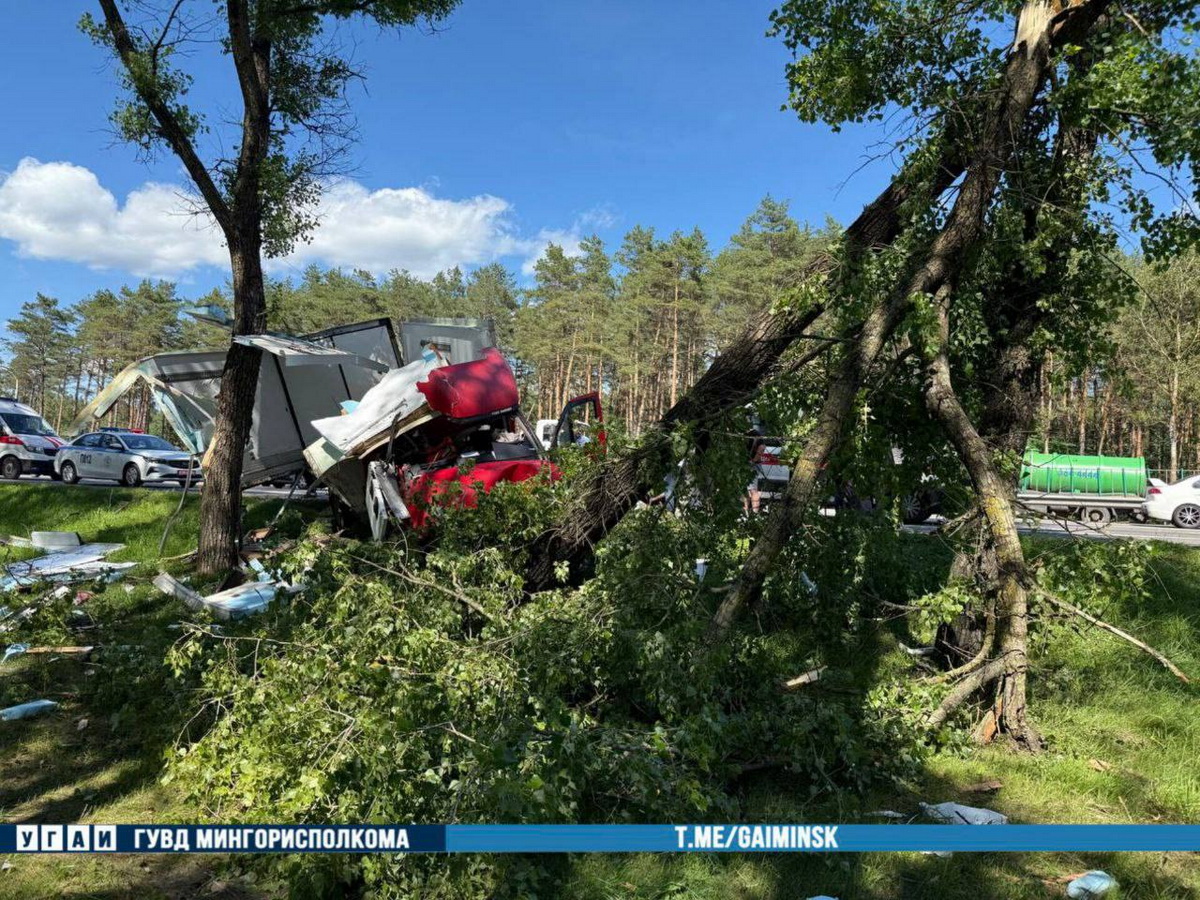 Фура влетела в дерево на МКАД