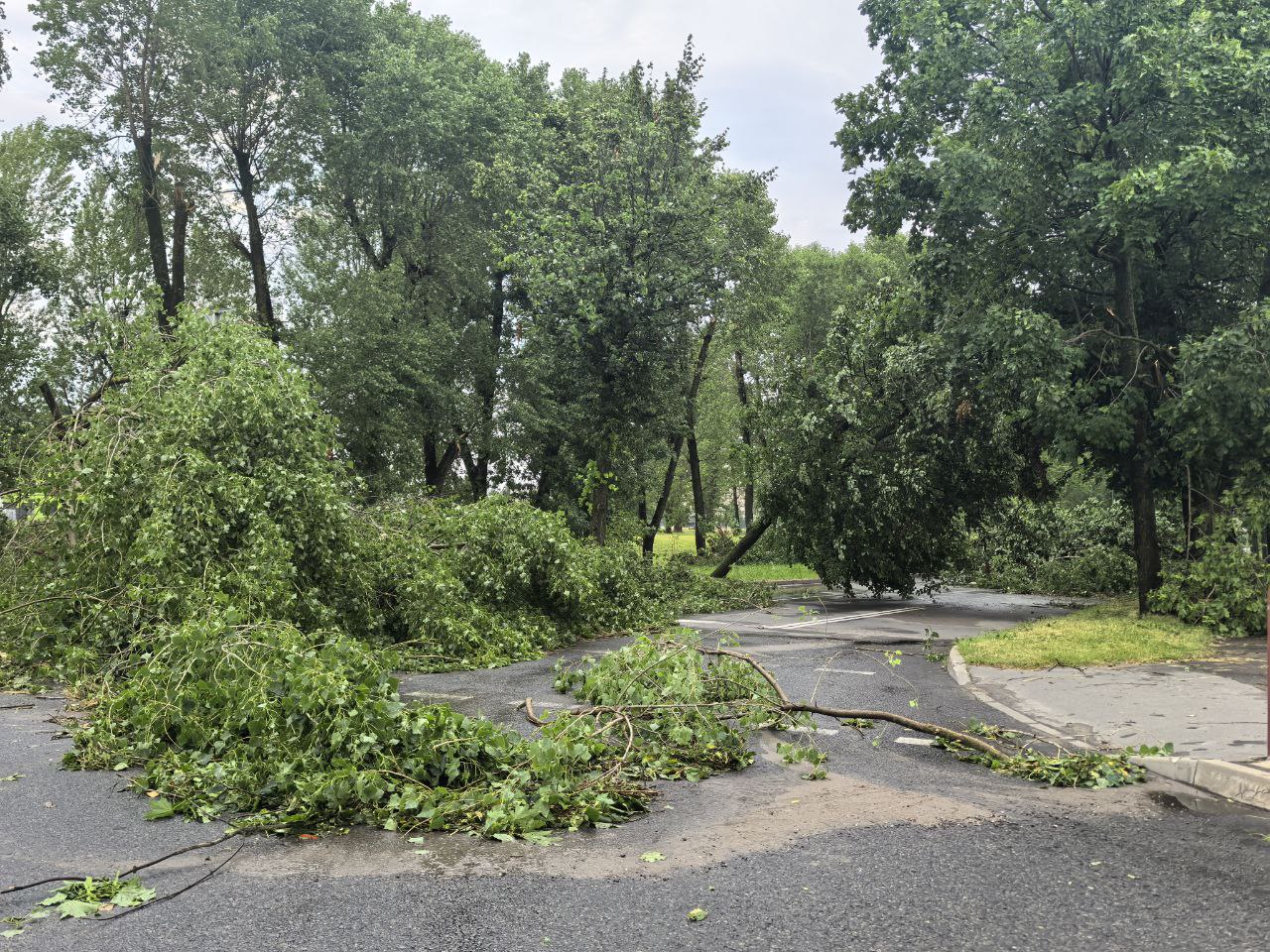 Грозовой фронт нарушил энергоснабжение в Могилеве