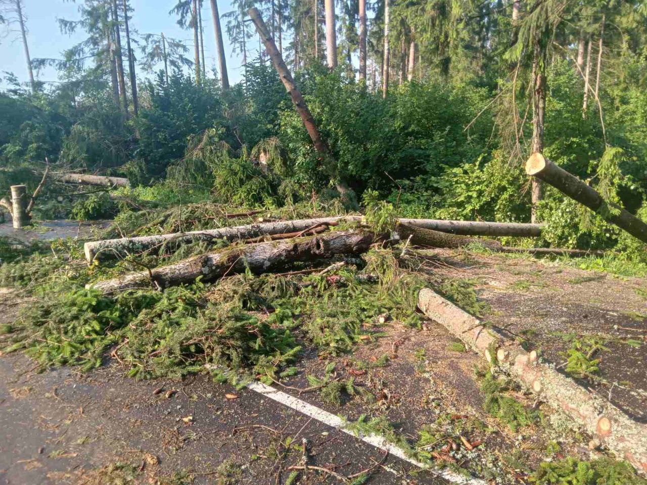 Грозовой фронт нарушил энергоснабжение в Могилеве