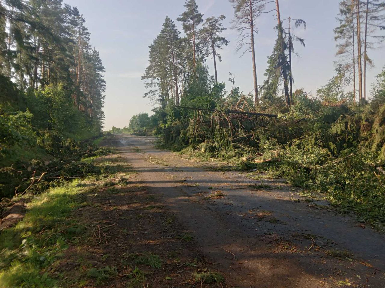 Грозовой фронт нарушил энергоснабжение в Могилеве