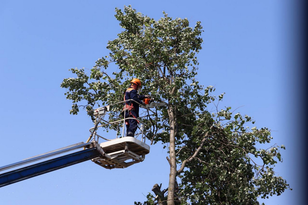 В 170 населенных пунктах Беларуси восстанавливают электроснабжение - Минэнерго