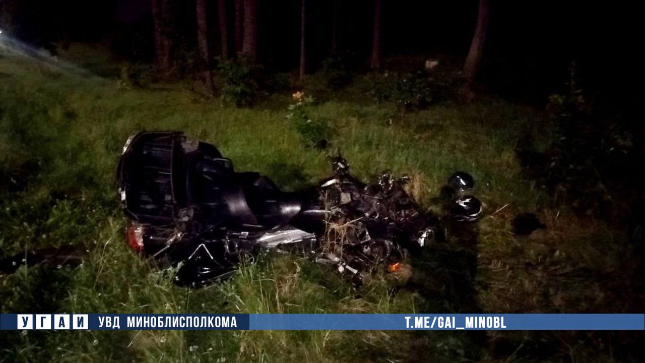 Мотоциклист столкнулся с лосем и погиб под Минском