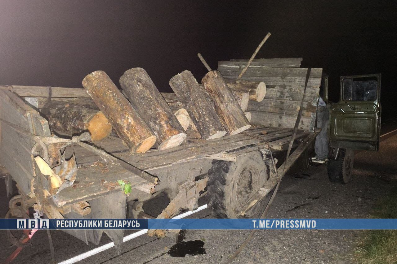 BMW влетел в грузовик в Житковичском районе. Двое погибших