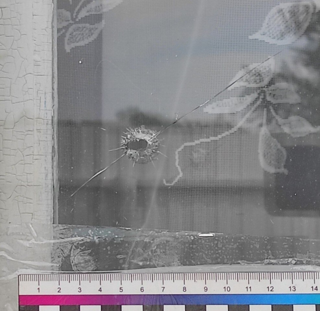 Житель Слонима стрелял из пневматики по окнам от скуки