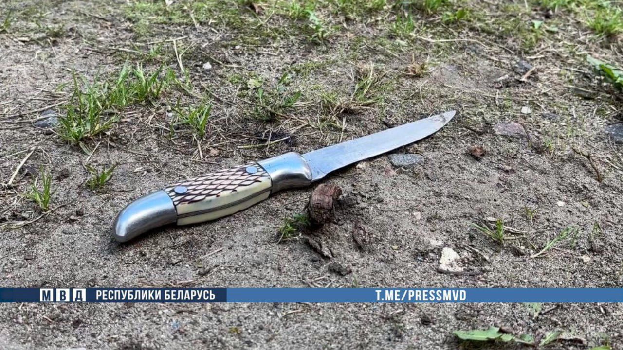 Милиция стреляла в пьяного брестчанина с ножами при задержании