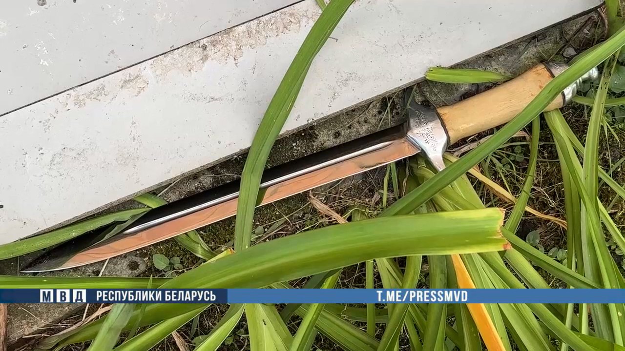 Милиция стреляла в пьяного брестчанина с ножами при задержании