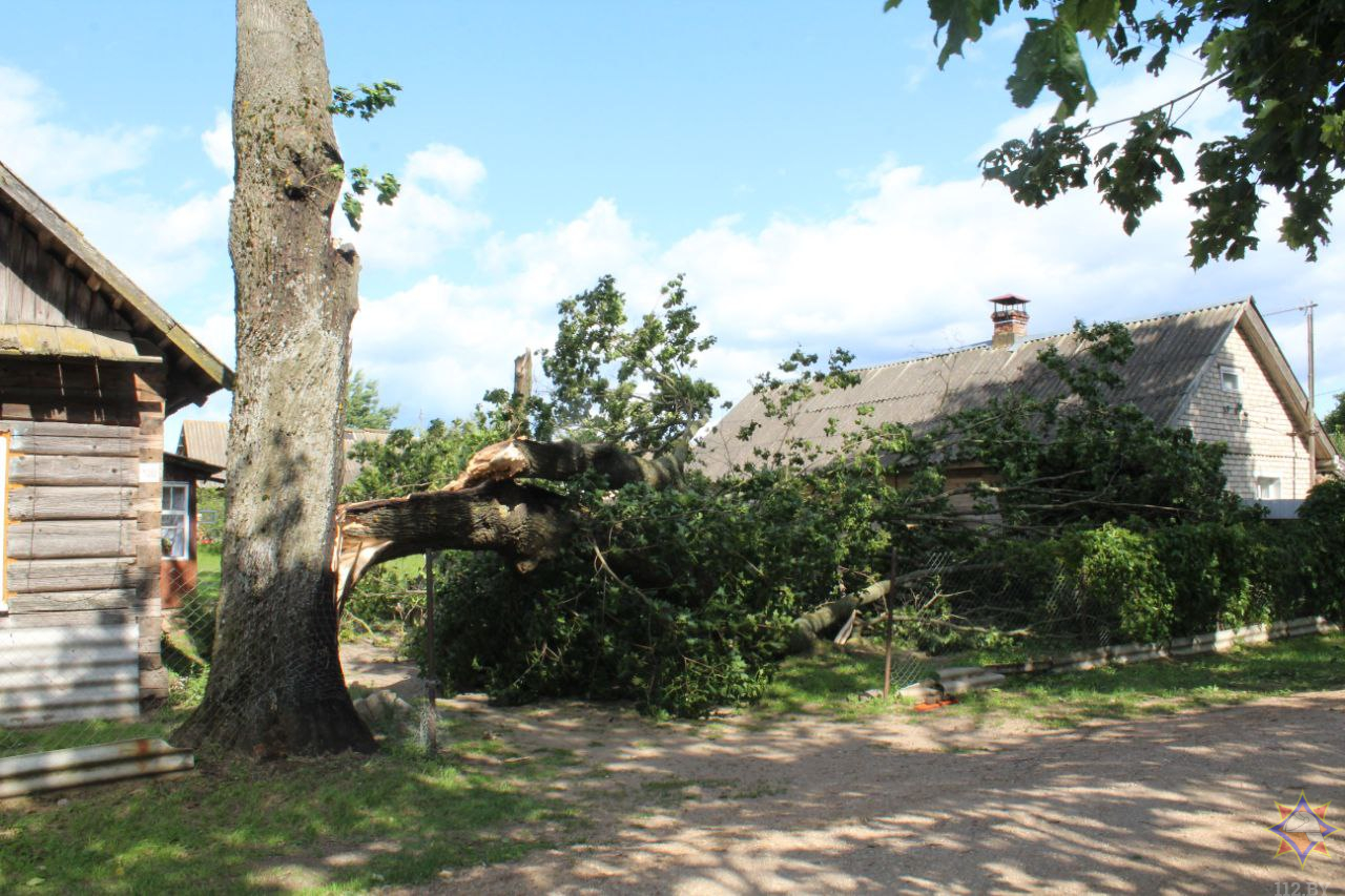 МЧС рассказало о последствиях сильного ветра в понедельник
