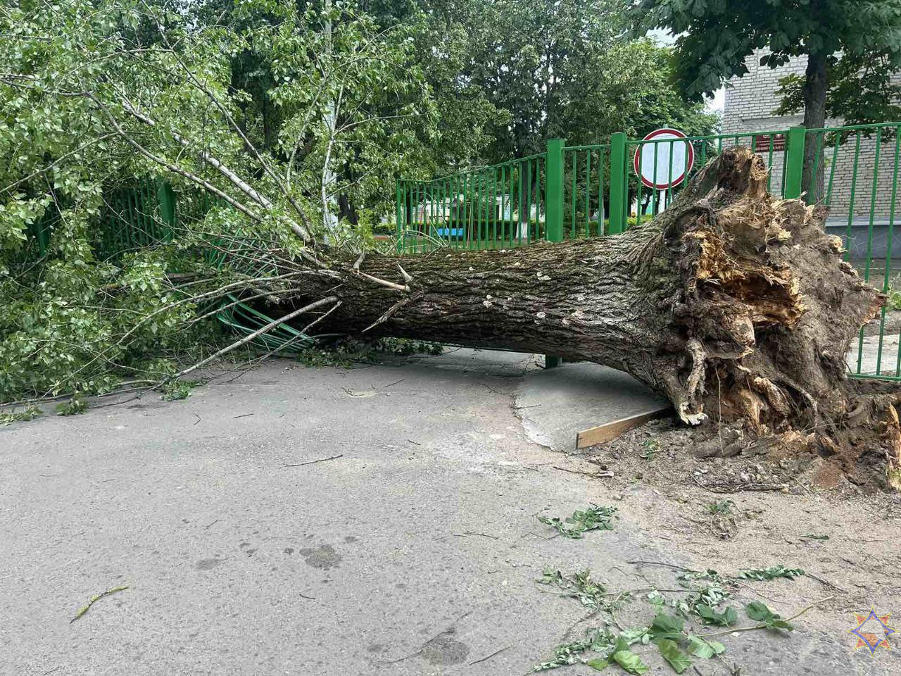 МЧС рассказало о последствиях сильного ветра в понедельник