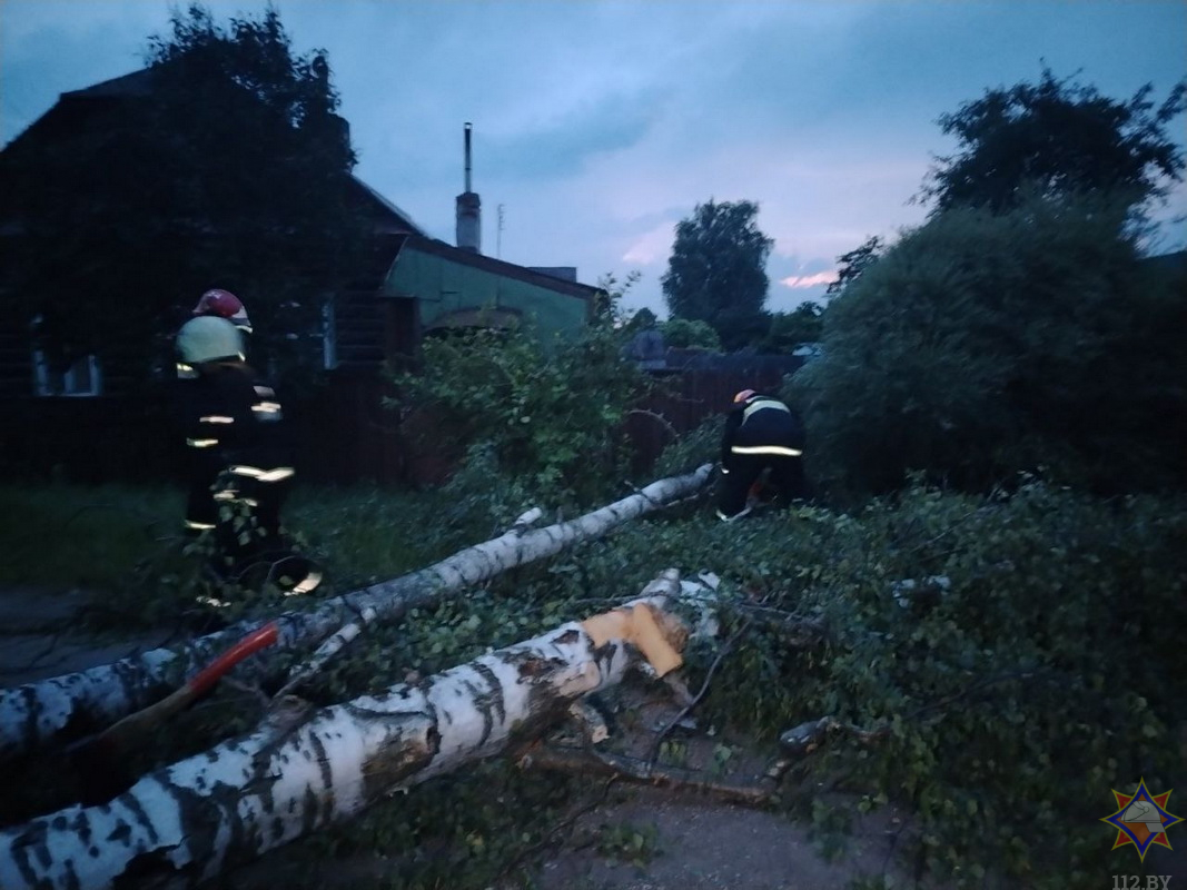 Повалено 318 деревьев, обесточено 889 населенных пунктов. МЧС подвело итоги грозовых суток