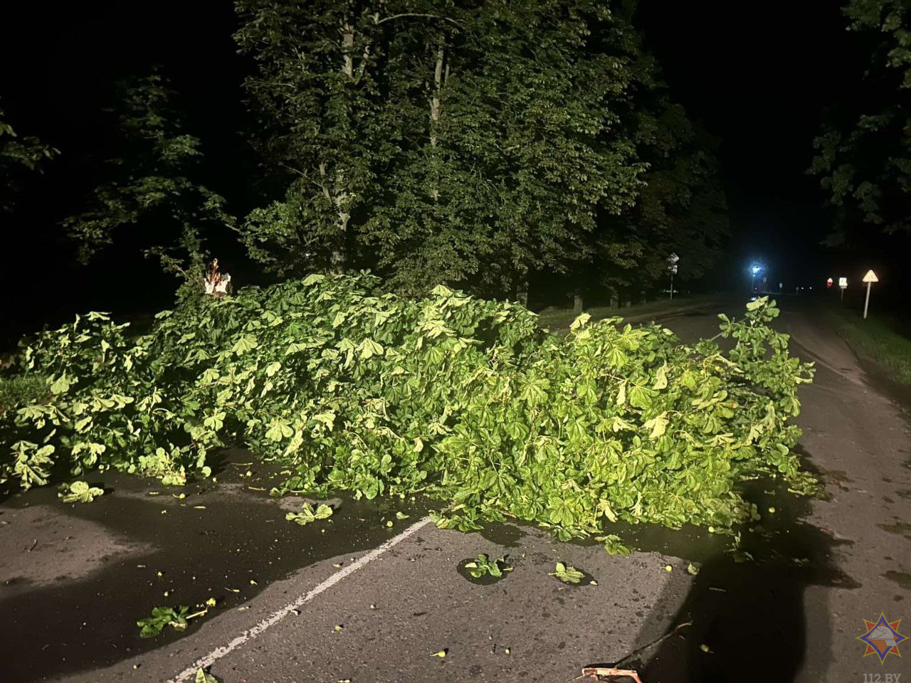 Повалено 318 деревьев, обесточено 889 населенных пунктов. МЧС подвело итоги грозовых суток