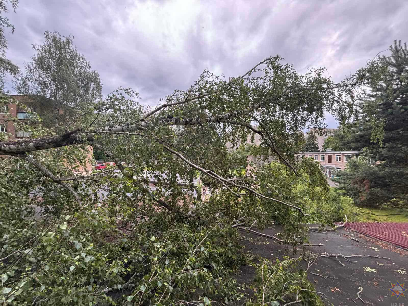 МЧС рассказало о последствиях сильного ветра в понедельник
