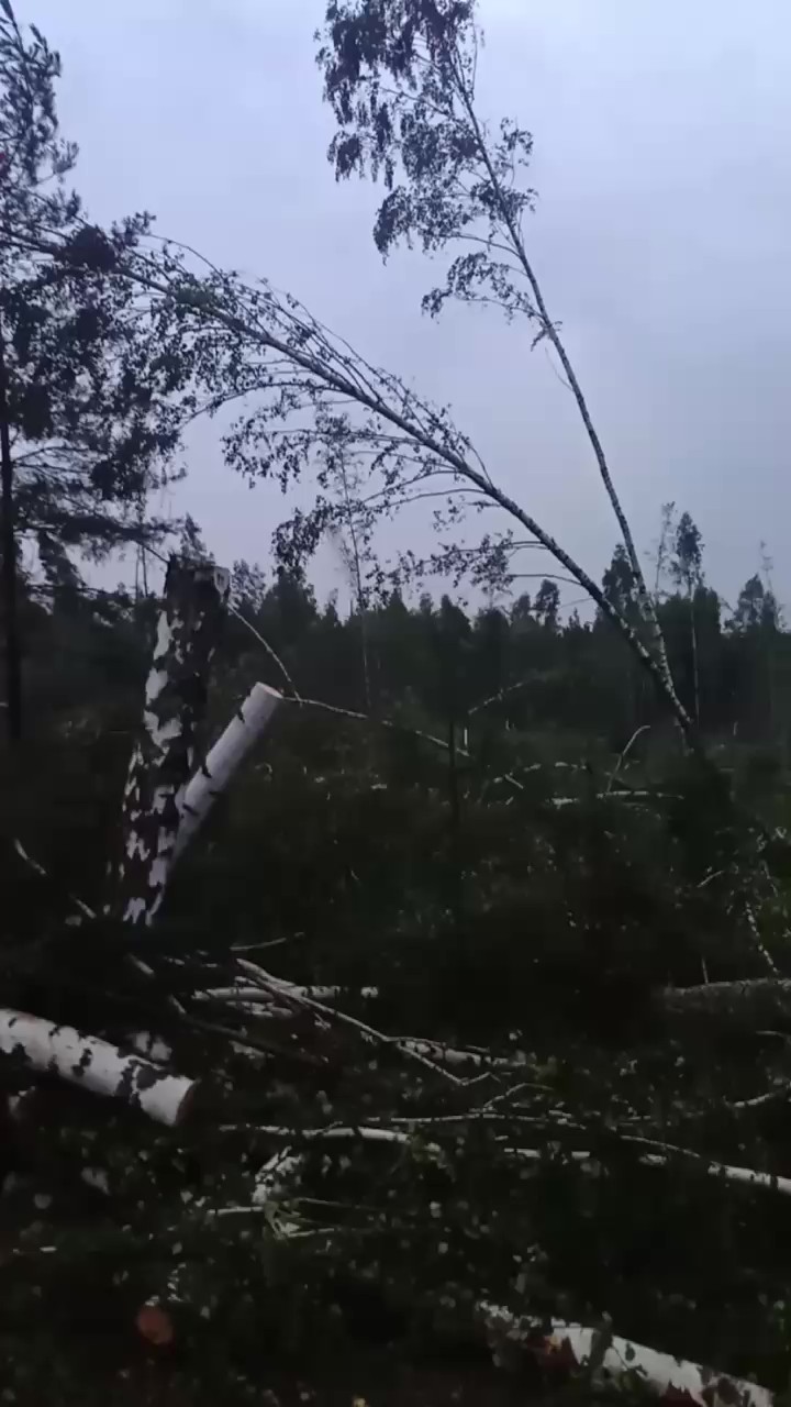 Поврежден газопровод и 40 подтоплений. МЧС подвело итоги грозового удара по Минску и Колодищам