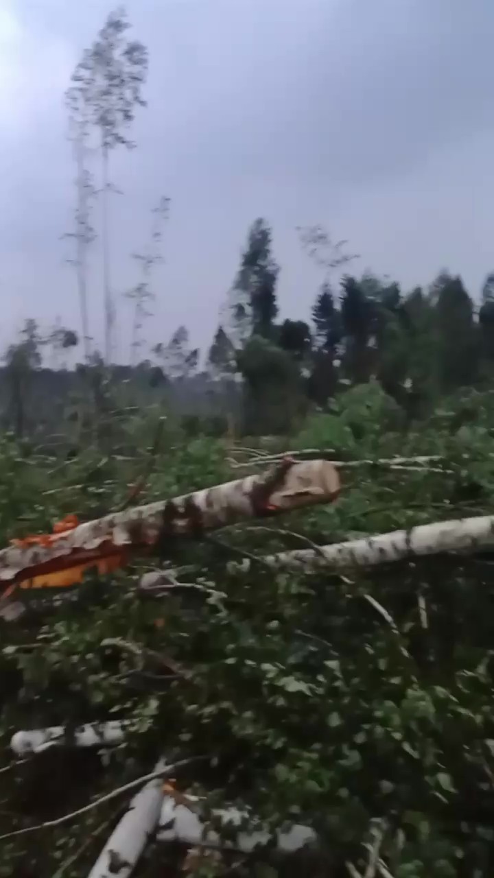 Поврежден газопровод и 40 подтоплений. МЧС подвело итоги грозового удара по Минску и Колодищам