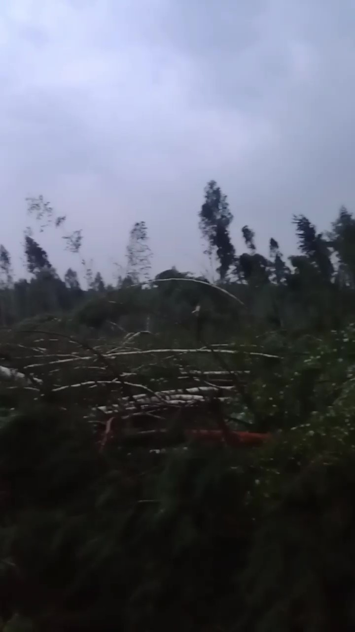 Поврежден газопровод и 40 подтоплений. МЧС подвело итоги грозового удара по Минску и Колодищам