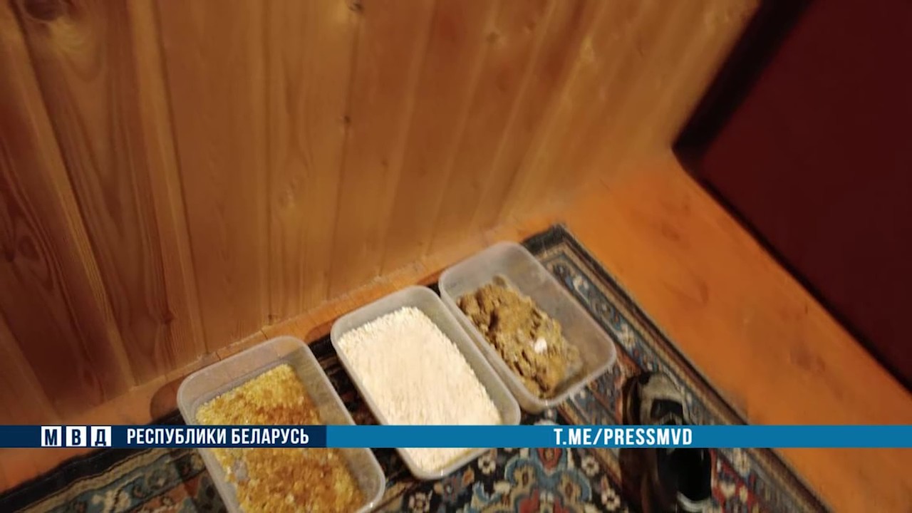 Россиянина задержали с крупной партией наркотиков в Минске