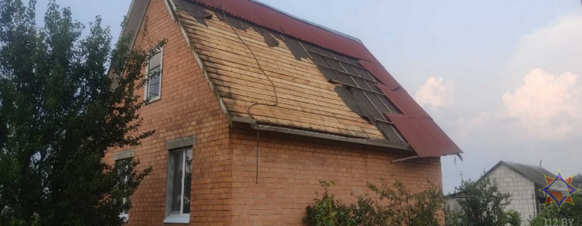 Поваленные деревья и сорванные крыши - в МЧС рассказали о непогоде в Могилевской и Брестской областях