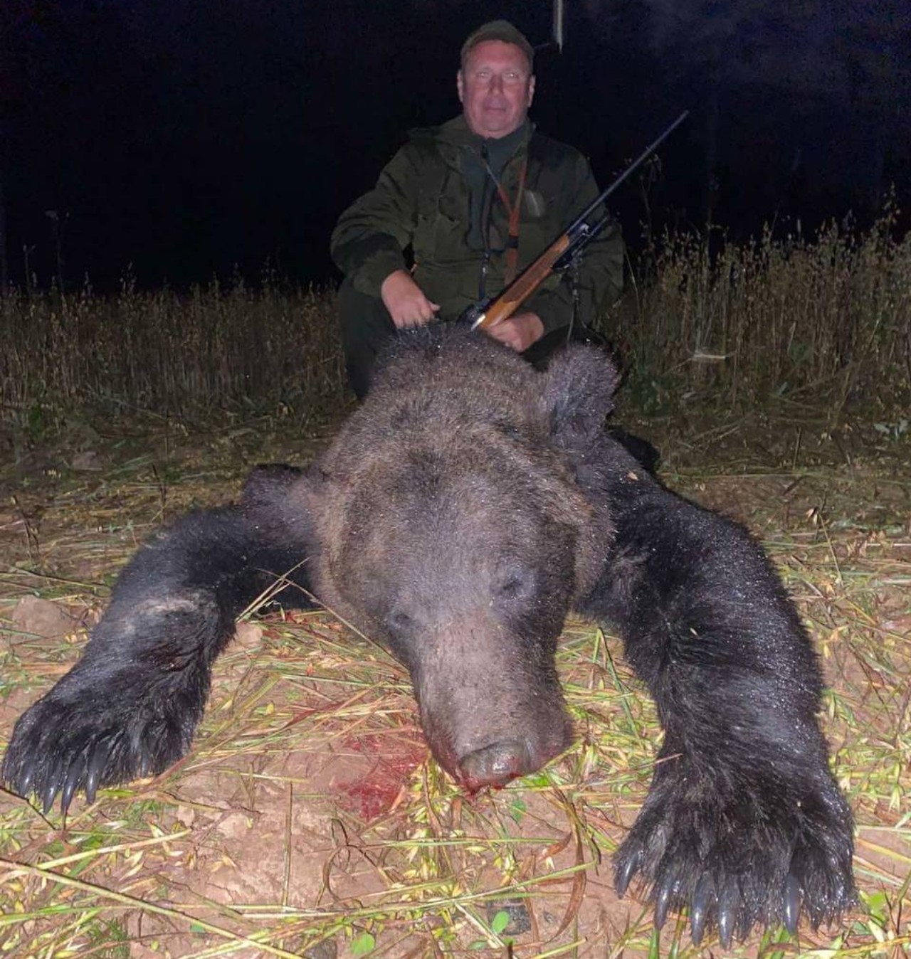 Четырех медведей убили в Беларуси на выходных