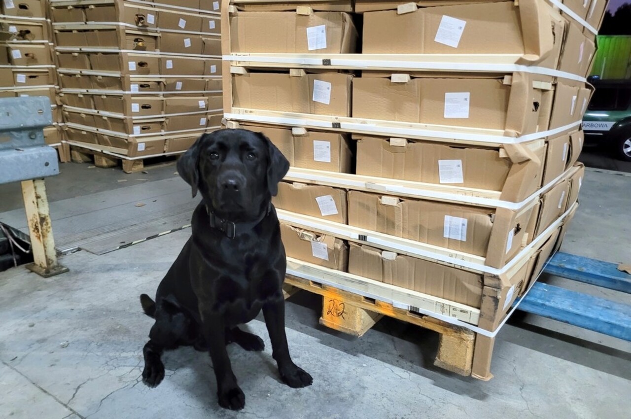 Беларуса с контрабандными сигаретами на 400 тысяч долларов задержали в Польше