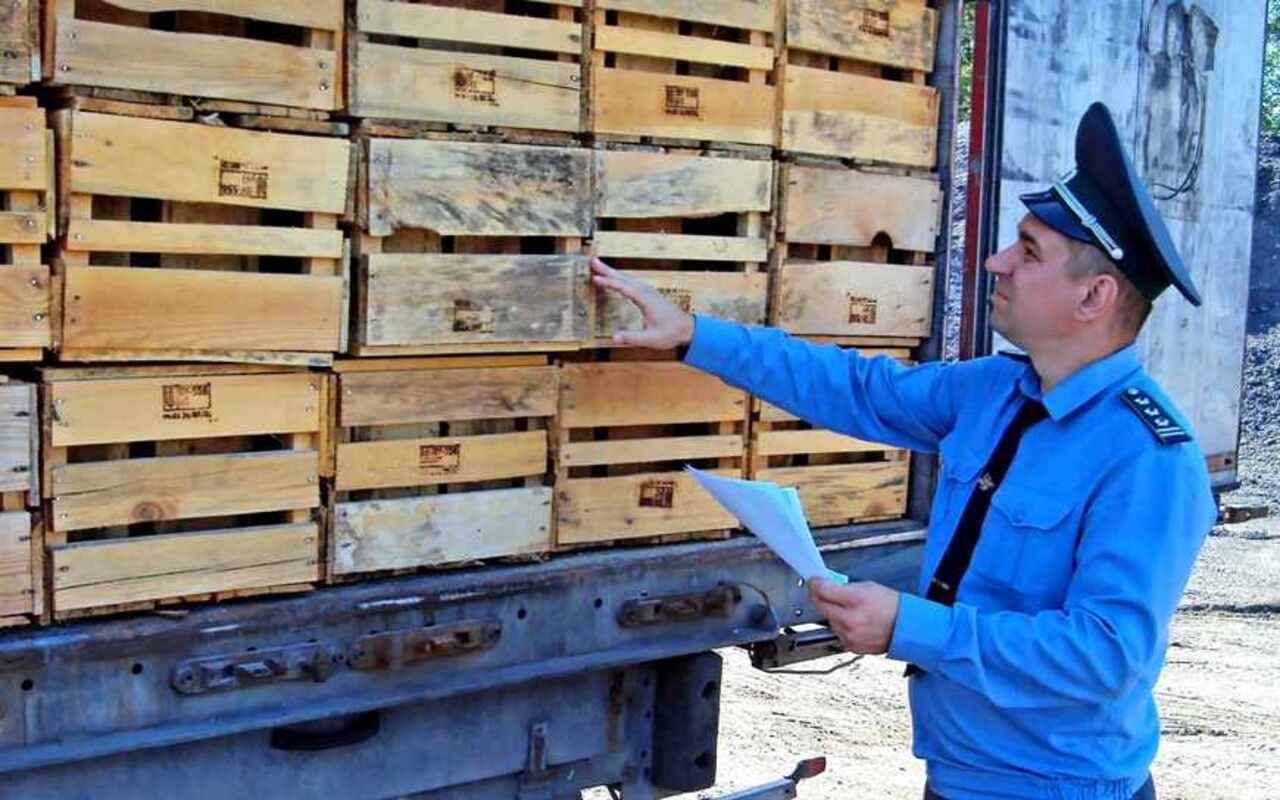 Голубику, ящики и семена моркови не пустили в Россию из Беларуси