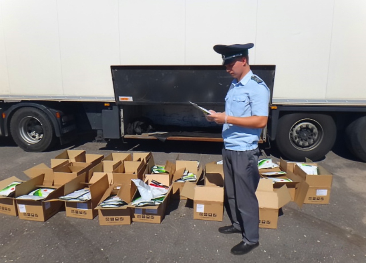 Голубику, ящики и семена моркови не пустили в Россию из Беларуси