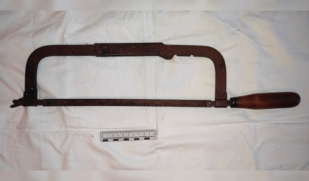 Минчанина обвиняют в убийстве 76-летней матери: Не верил, что она не может ходить