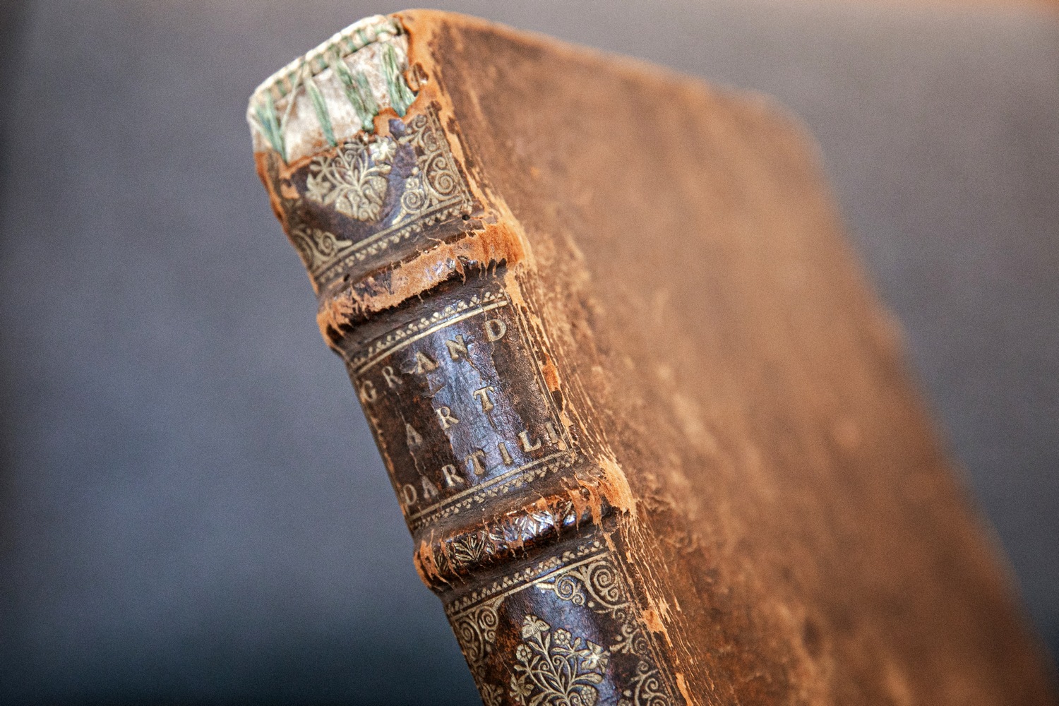 Ініцыятыва Maldzis выкупіла франкамоўнае выданне «Вялікае мастацтва артылерыі» Казіміра Семяновіча