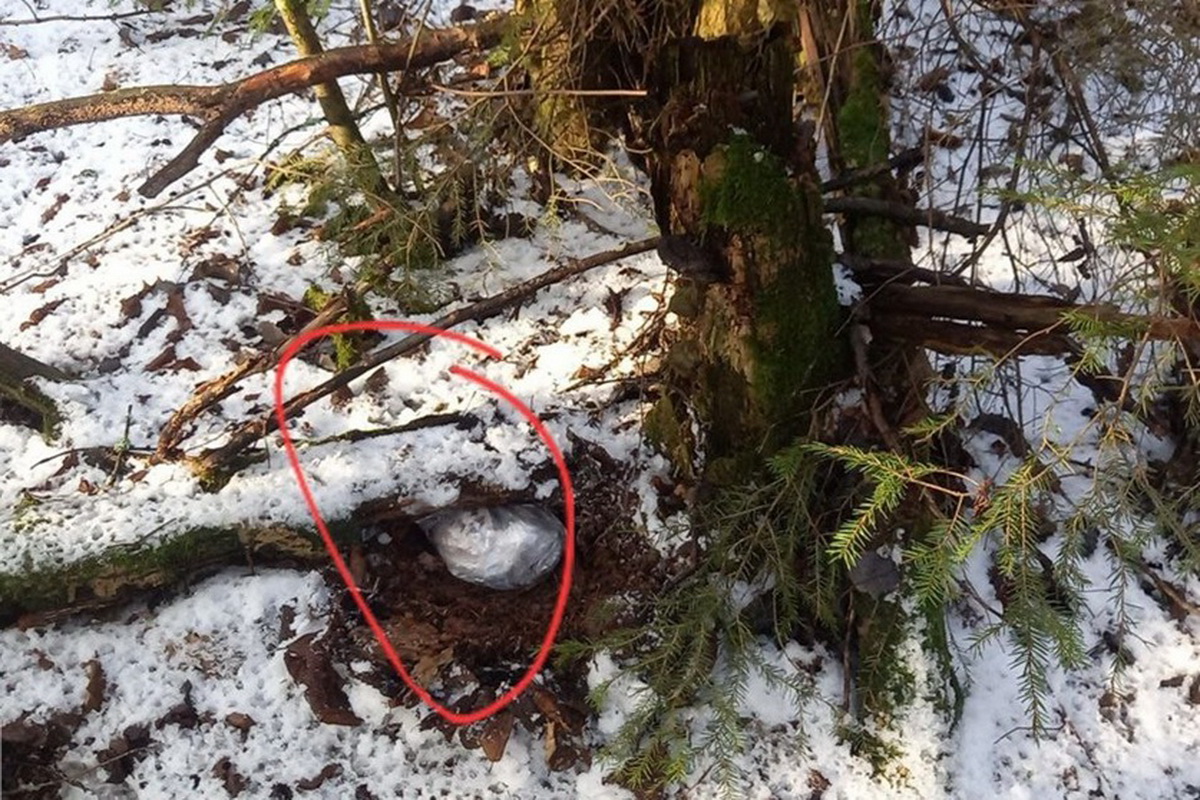 Супругов из Минска обвиняют в сбыте наркотиков, повлекшем смерти людей