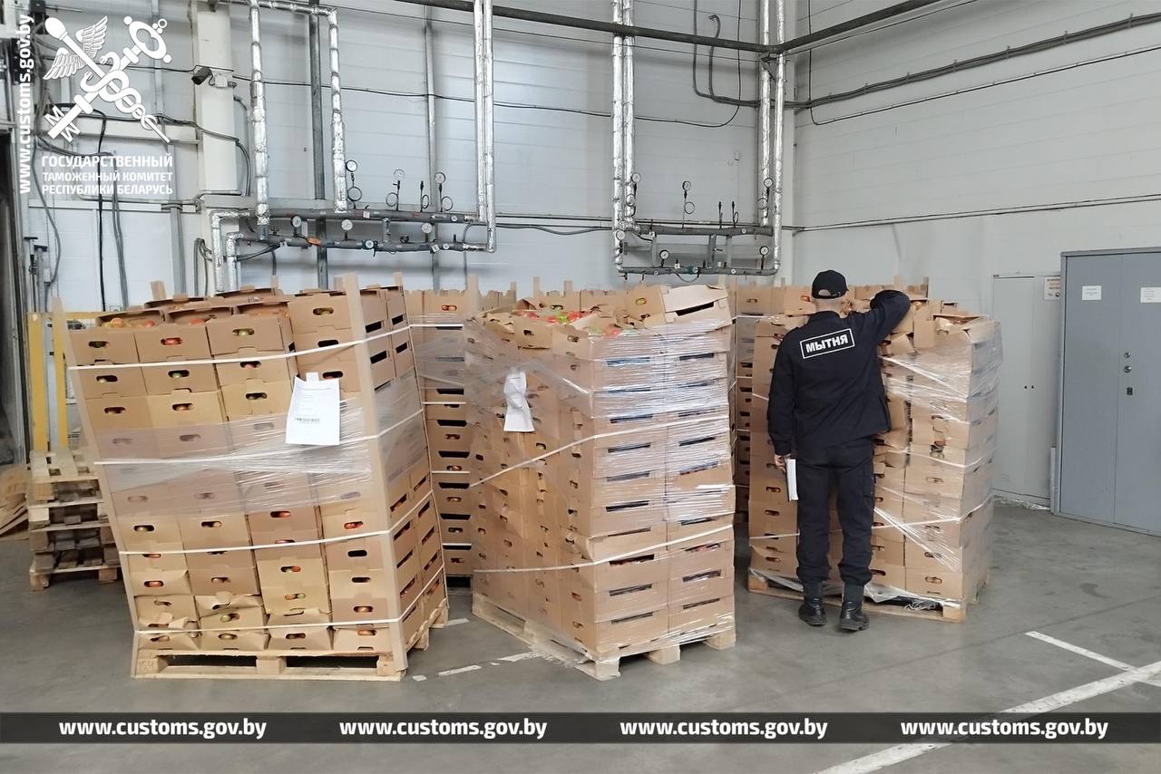 Беларусская таможня не дала вывезти в Россию 80 тонн яблок и груш