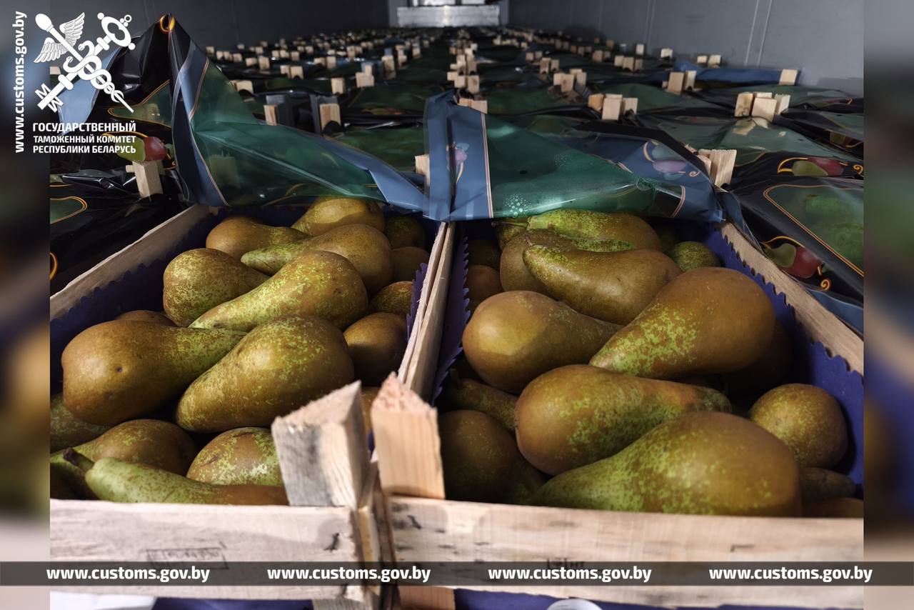 Беларусская таможня не дала вывезти в Россию 80 тонн яблок и груш