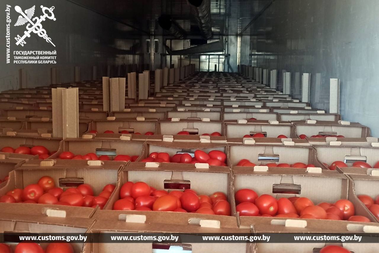 Беларусская таможня не дала вывезти в Россию 80 тонн яблок и груш