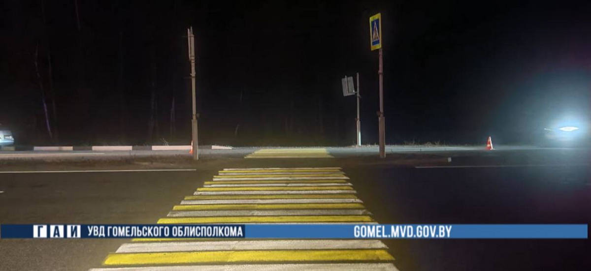 Tesla сбила 16-летнего велосипедиста в Гомеле. Он умер в больнице