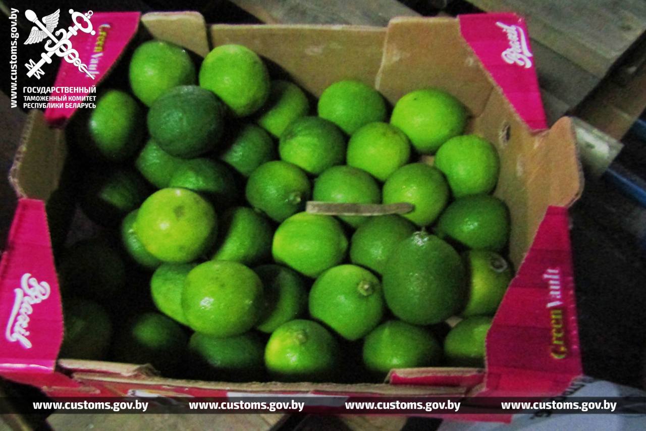 Кокосы, лаймы и арбузы. ГТК отчитался о фруктовом улове на границах