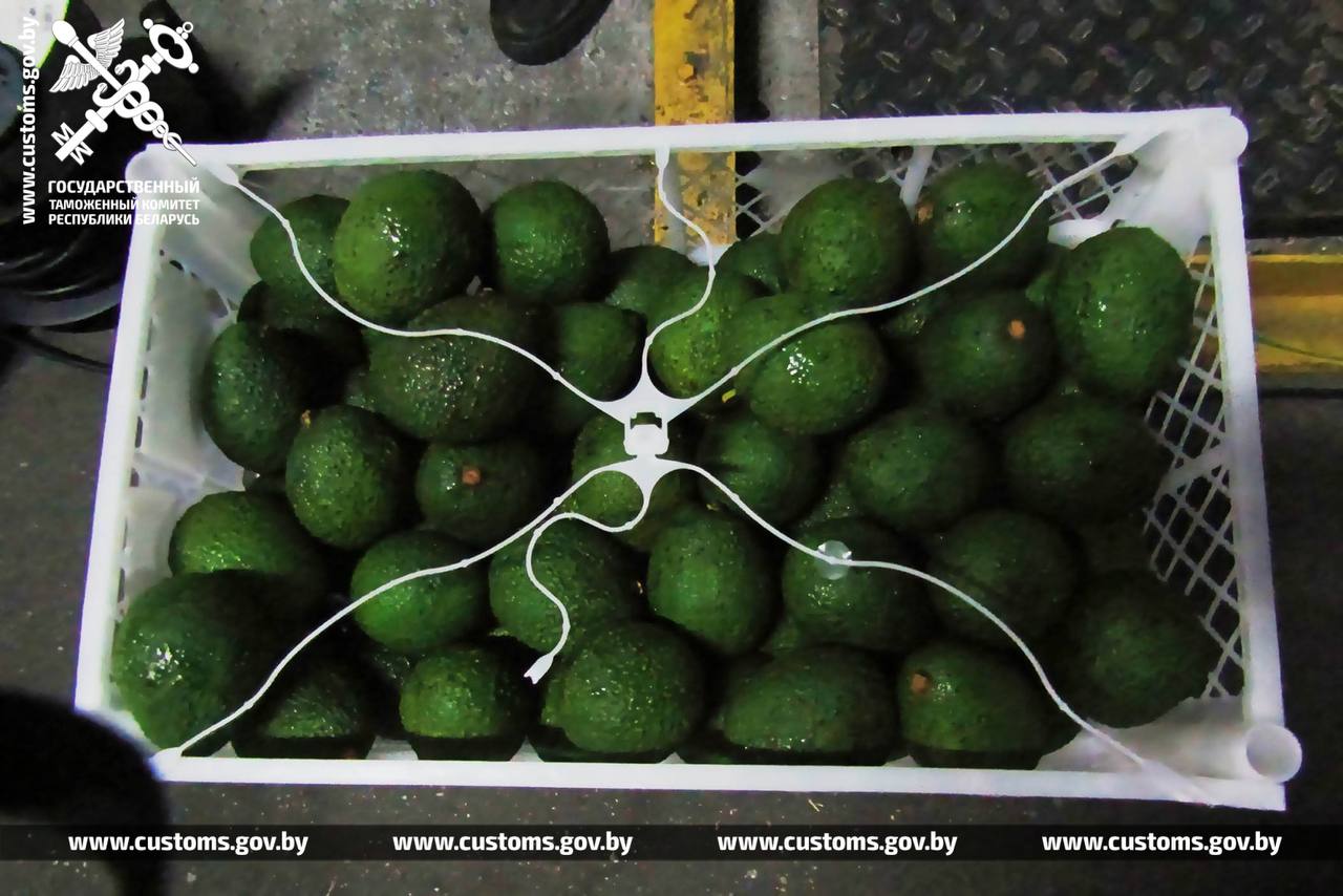 Кокосы, лаймы и арбузы. ГТК отчитался о фруктовом улове на границах