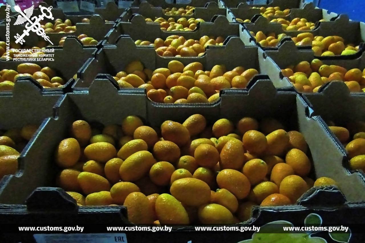 Кокосы, лаймы и арбузы. ГТК отчитался о фруктовом улове на границах