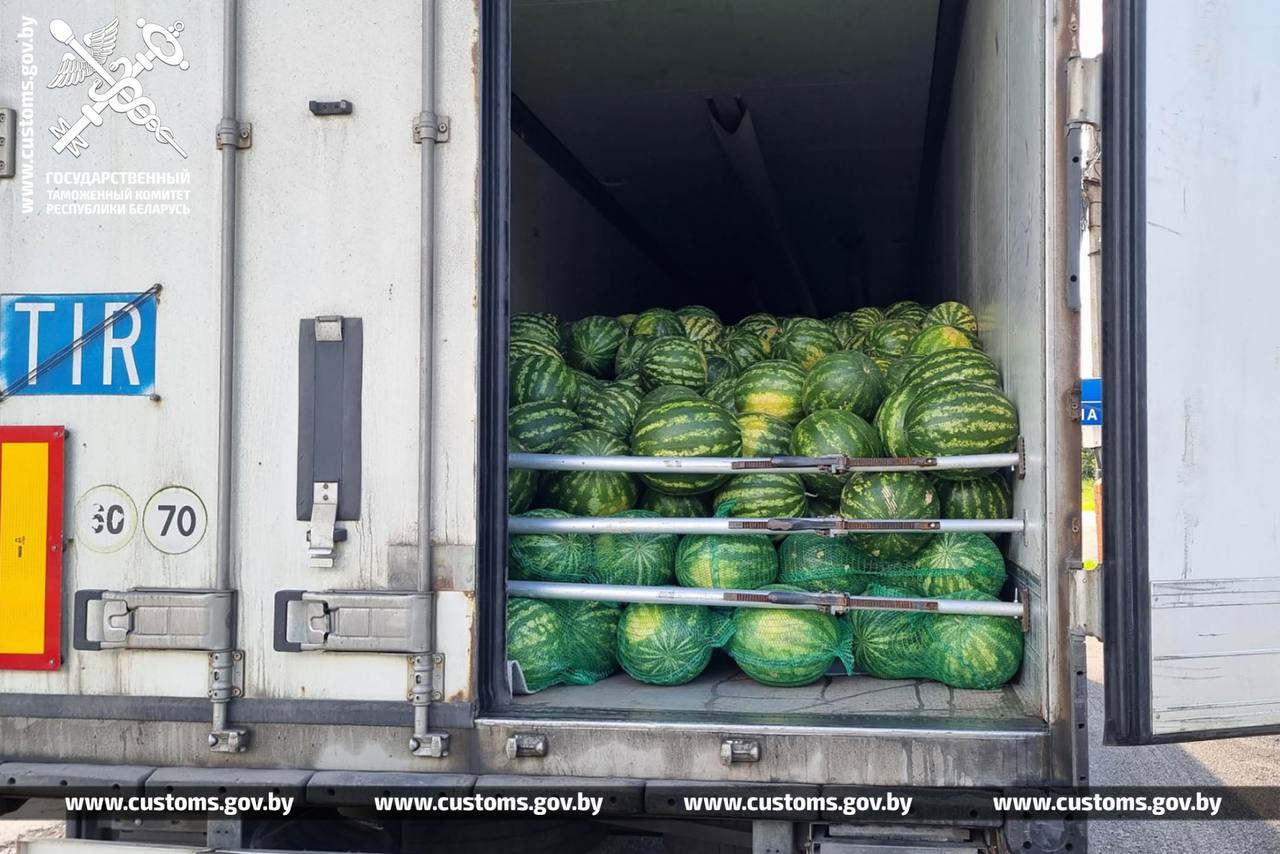 Кокосы, лаймы и арбузы. ГТК отчитался о фруктовом улове на границах