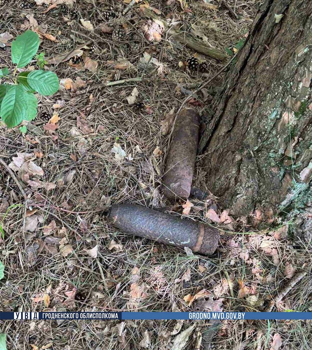 Снаряды времен ВОВ найдены в нескольких районах Гродненской области