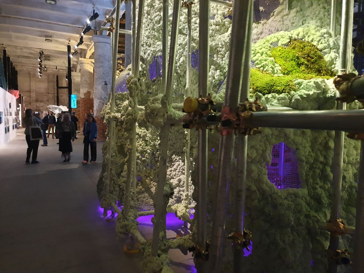 Вайна – лакальная праблема? Беларускі погляд на Венецыянскую біенале архітэктуры