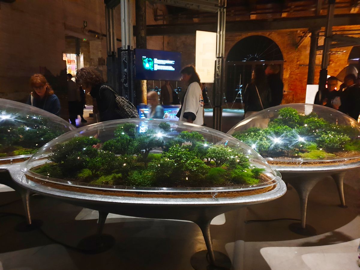 Вайна – лакальная праблема? Беларускі погляд на Венецыянскую біенале архітэктуры