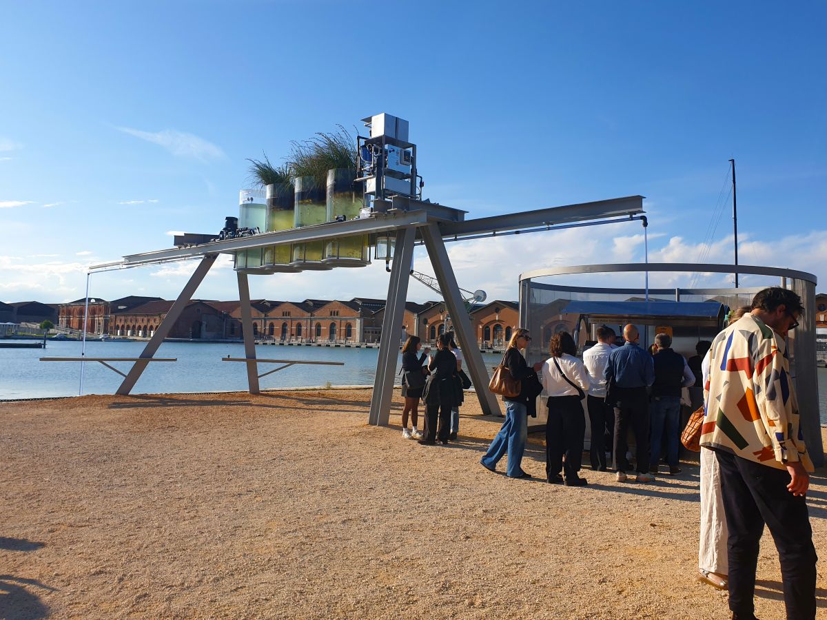 Вайна – лакальная праблема? Беларускі погляд на Венецыянскую біенале архітэктуры