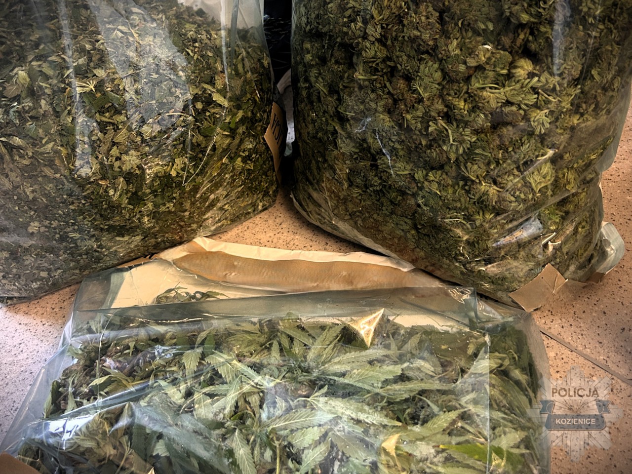 Беларуса задержали в Польше по подозрению в производстве наркотиков