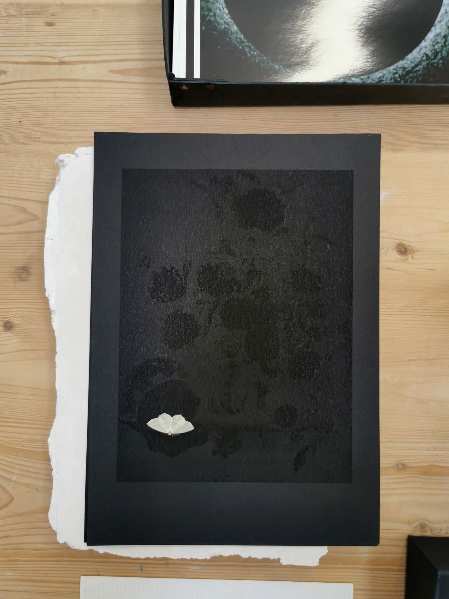 У Дзюсельдорфе мастакі адкрылі свае майстэрні для гледачоў. У фэсце прынялі ўдзел і беларускія творцы