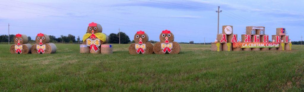 Замки из соломы и не только. Лучшую конструкцию к "Дажынкам" выбирают в Минской области