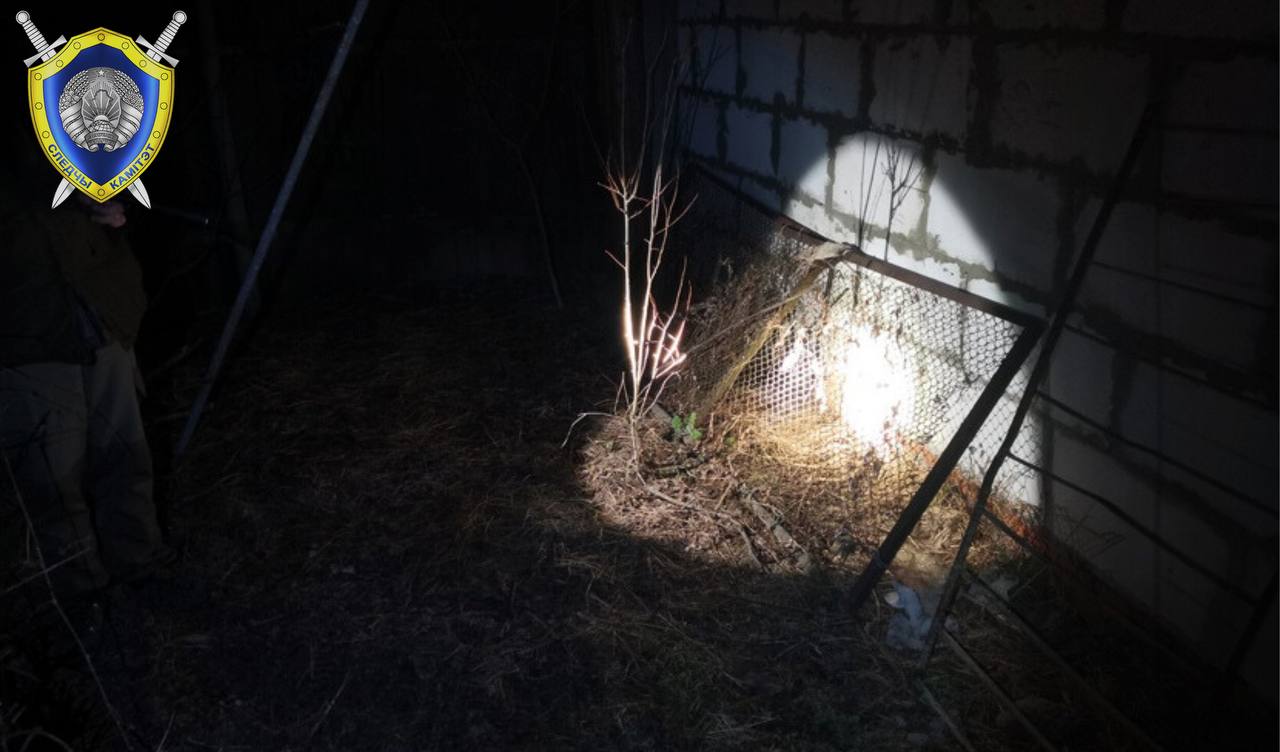 Пенсионер убил гомельчанина и закопал на даче