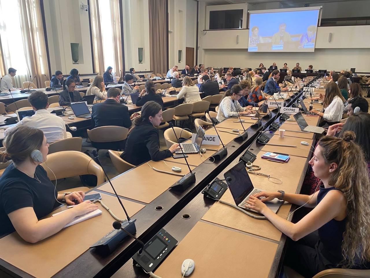 Ситуацию с правами человека в Беларуси обсудили в СПЧ ООН