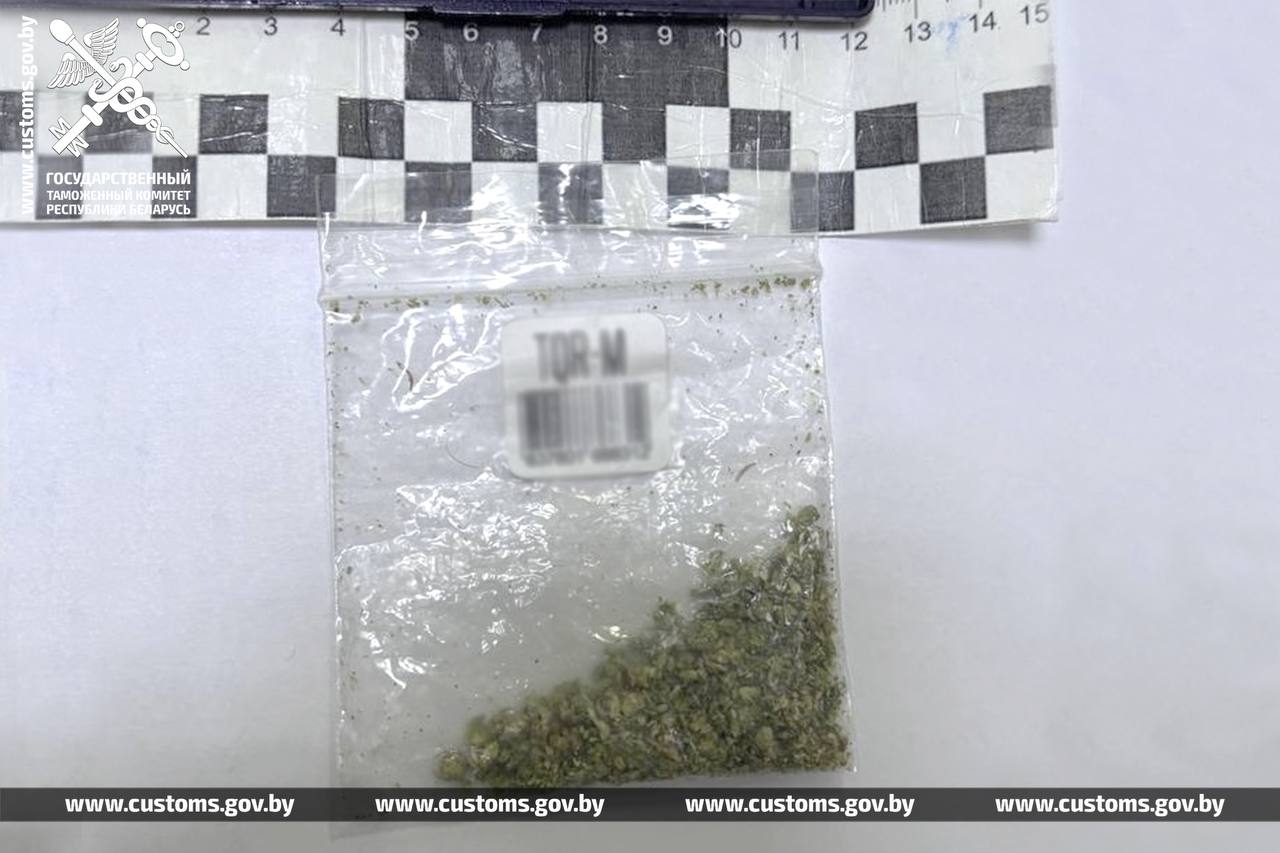 Граждане Беларуси и Италии с наркотиками задержаны на границе