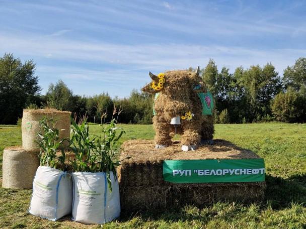 Замки из соломы и не только. Лучшую конструкцию к "Дажынкам" выбирают в Минской области