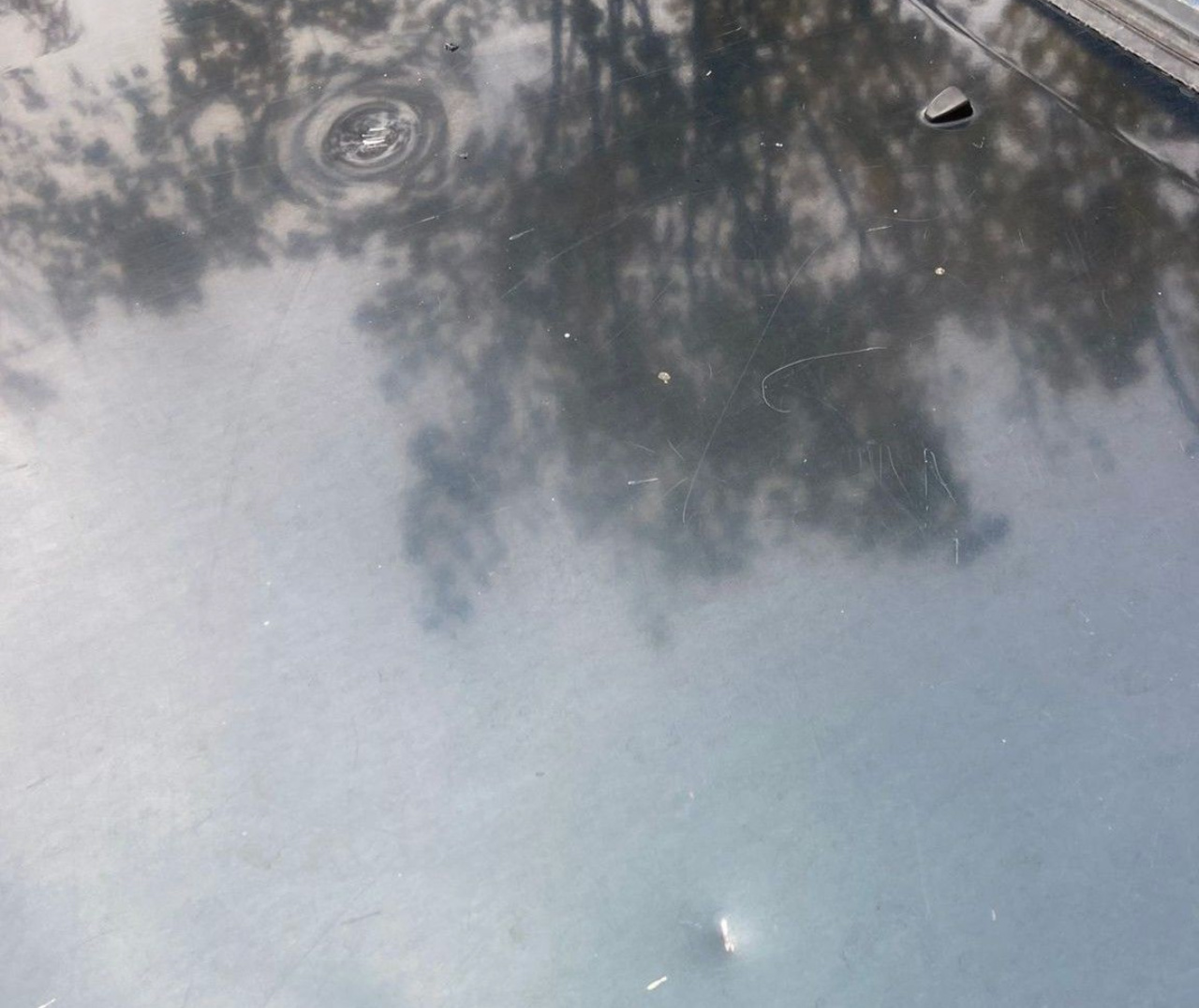 Мигранты повредили два автомобиля польских пограничников