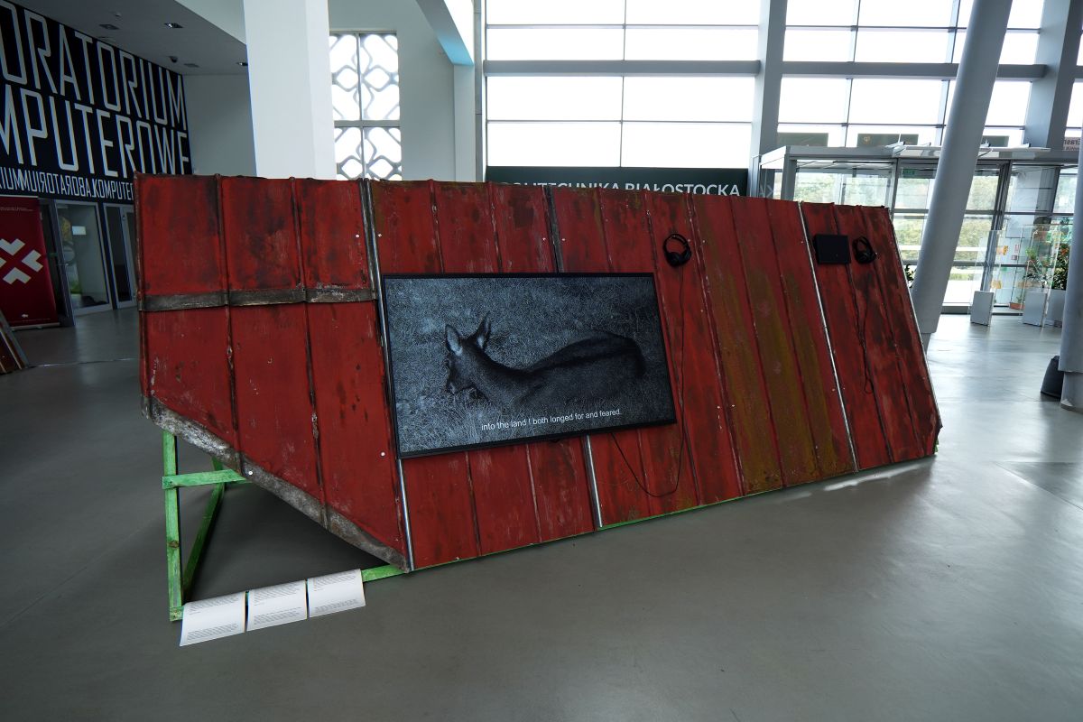 Першы фестываль беларускага сучаснага відэамастацтва прайшоў у Польшчы