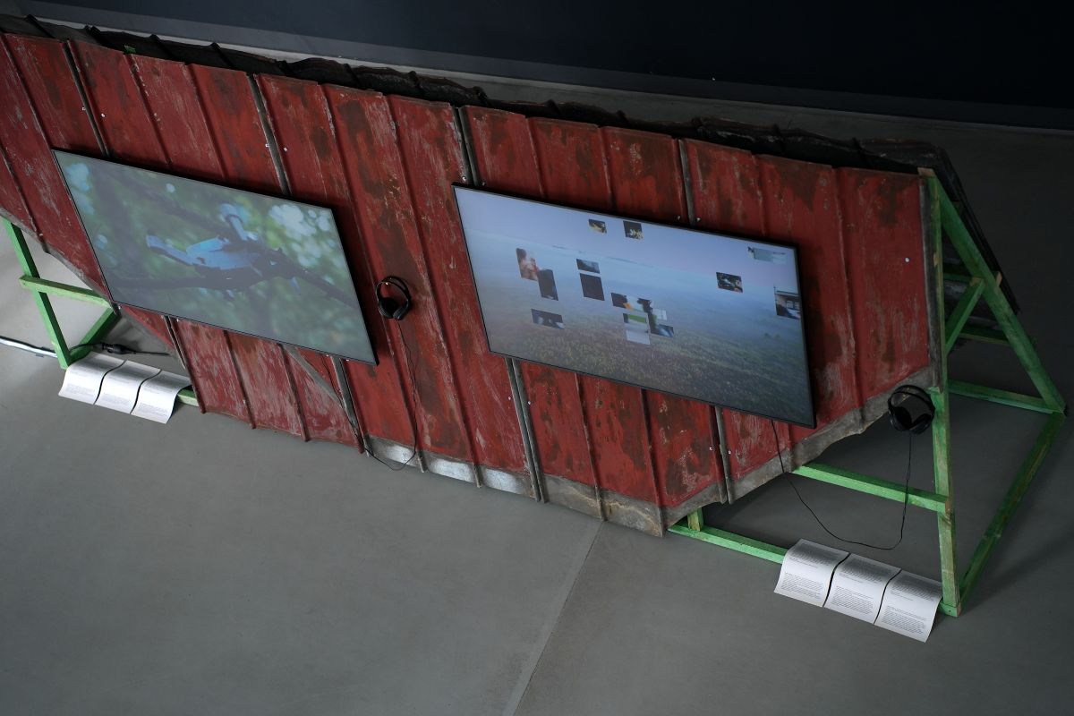 Першы фестываль беларускага сучаснага відэамастацтва прайшоў у Польшчы