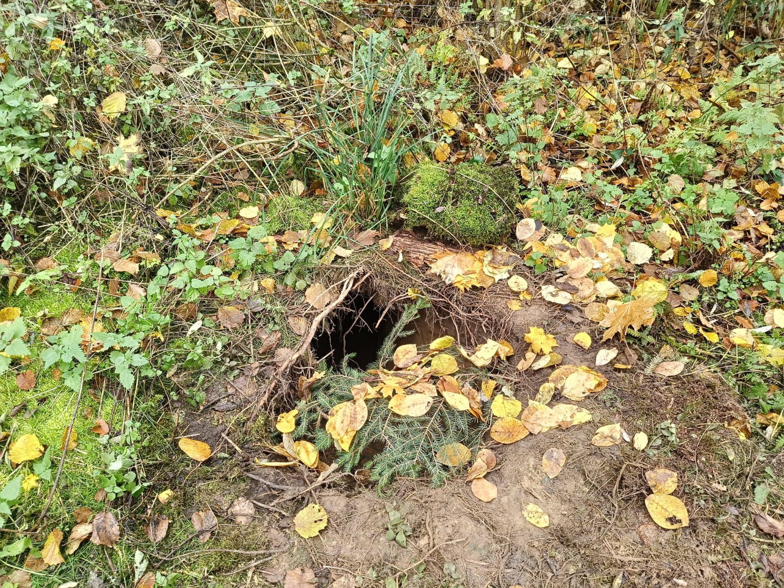 Польские пограничники нашли подземный ход на границе с Беларусью